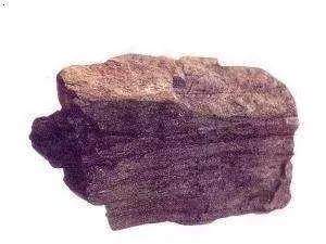 盘点煤的种类及其用途